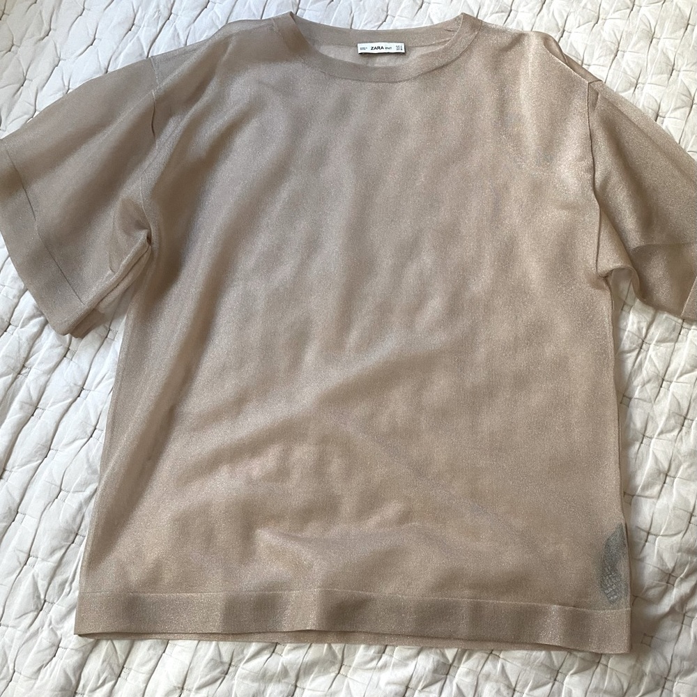 Zara sheer top with metallic/sparkle, size medium